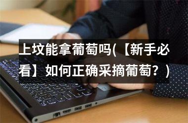 <h3>上坟能拿葡萄吗(【新手必看】如何正确采摘葡萄？)