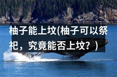 <h3>柚子能上坟(柚子可以祭祀，究竟能否上坟？)