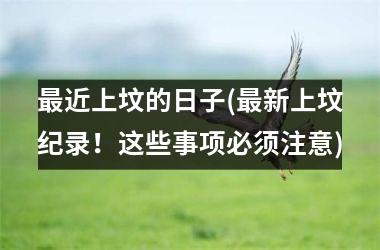 <h3>近上坟的日子(新上坟纪录！这些事项必须注意)