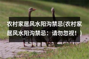 <h3>农村家居风水阳沟禁忌(农村家居风水阳沟禁忌：请勿忽视！)