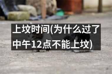 <h3>上坟时间(为什么过了中午12点不能上坟)