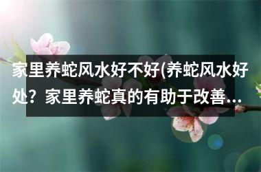 家里养蛇风水好不好(养蛇风水好处？家里养蛇真的有助于改善风水吗？)