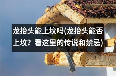 <h3>龙抬头能上坟吗(龙抬头能否上坟？看这里的传说和禁忌)