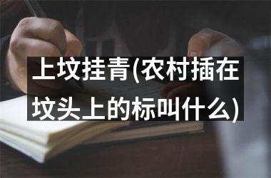 <h3>上坟挂青(农村插在坟头上的标叫什么)