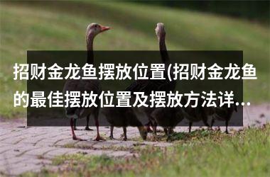 <h3>招财金龙鱼摆放位置(招财金龙鱼的佳摆放位置及摆放方法详解！)