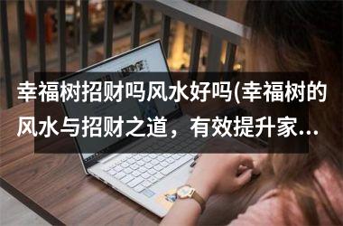<h3>幸福树招财吗风水好吗(幸福树的风水与招财之道，有效提升家庭财运！)