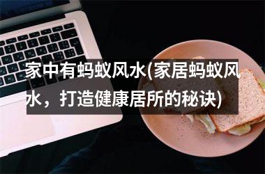 <h3>家中有蚂蚁风水(家居蚂蚁风水，打造健康居所的秘诀)