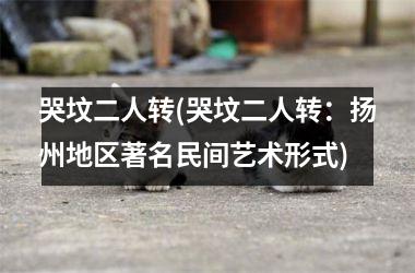 <h3>哭坟二人转(哭坟二人转：扬州地区著名民间艺术形式)