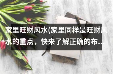 <h3>家里旺财风水(家里同样是旺财风水的重点，快来了解正确的布局方式！)