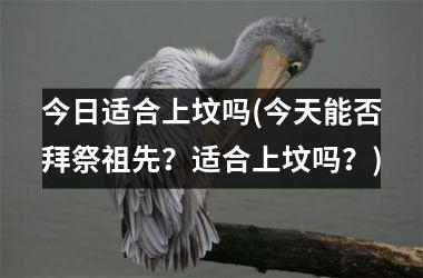 今日适合上坟吗(今天能否拜祭祖先？适合上坟吗？)