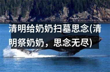 <h3>清明给奶奶扫墓思念(清明祭奶奶，思念无尽)