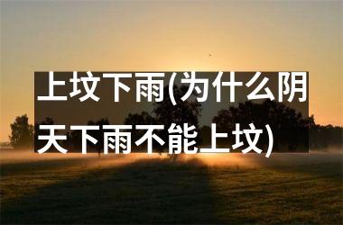 <h3>上坟下雨(为什么阴天下雨不能上坟)