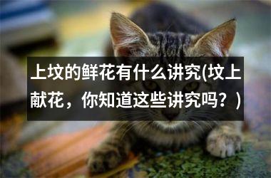 <h3>上坟的鲜花有什么讲究(坟上献花，你知道这些讲究吗？)