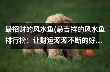 招财的风水鱼(吉祥的风水鱼排行榜：让财运源源不断的好兆头)
