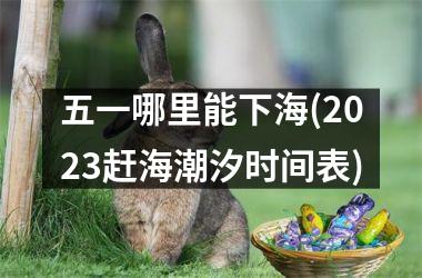 五一哪里能下海(2025赶海潮汐时间表)