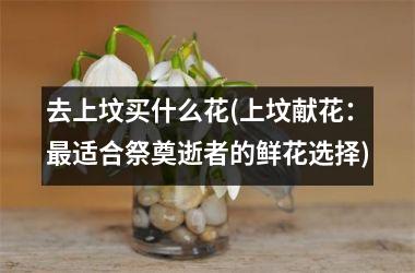 <h3>去上坟买什么花(上坟献花：适合祭奠逝者的鲜花选择)