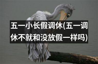 五一小长假调休(五一调休不就和没放假一样吗)