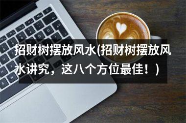 <h3>招财树摆放风水(招财树摆放风水讲究，这八个方位佳！)