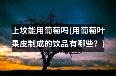 <h3>上坟能用葡萄吗(用葡萄叶果皮制成的饮品有哪些？)