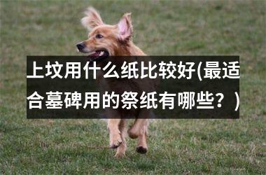 <h3>上坟用什么纸比较好(适合墓碑用的祭纸有哪些？)