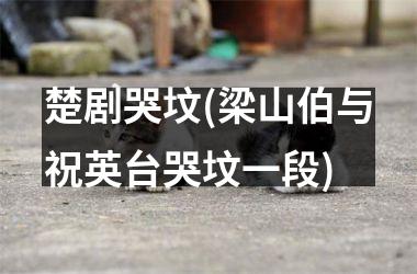 <h3>楚剧哭坟(梁山伯与祝英台哭坟一段)