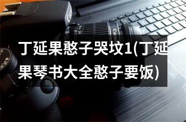 丁延果憨子哭坟1(丁延果琴书大全憨子要饭)