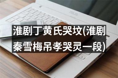 <h3>淮剧丁黄氏哭坟(淮剧秦雪梅吊孝哭灵一段)