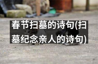 春节扫墓的诗句(扫墓纪念亲人的诗句)