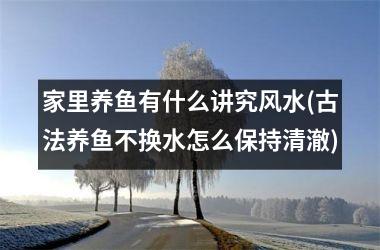 <h3>家里养鱼有什么讲究风水(古法养鱼不换水怎么保持清澈)