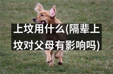 上坟用什么(隔辈上坟对父母有影响吗)