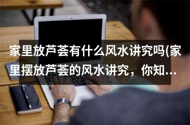 <h3>家里放芦荟有什么风水讲究吗(家里摆放芦荟的风水讲究，你知道吗？)