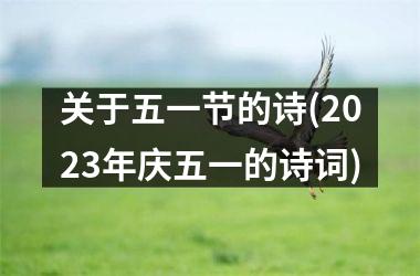 <h3>关于五一节的诗(2025年庆五一的诗词)