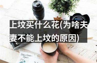 <h3>上坟买什么花(为啥夫妻不能上坟的原因)