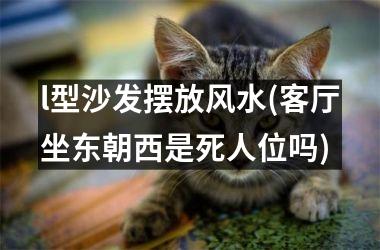 l型沙发摆放风水(客厅坐东朝西是死人位吗)