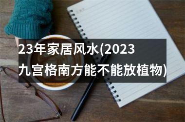<h3>23年家居风水(2025九宫格南方能不能放植物)