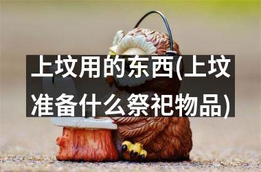 <h3>上坟用的东西(上坟准备什么祭祀物品)