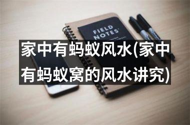 <h3>家中有蚂蚁风水(家中有蚂蚁窝的风水讲究)