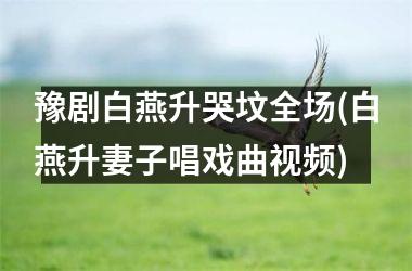 <h3>豫剧白燕升哭坟全场(白燕升妻子唱戏曲)