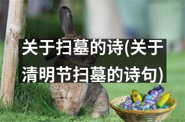 关于扫墓的诗(关于清明节扫墓的诗句)