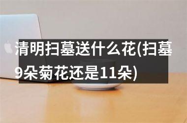 <h3>清明扫墓送什么花(扫墓9朵菊花还是11朵)