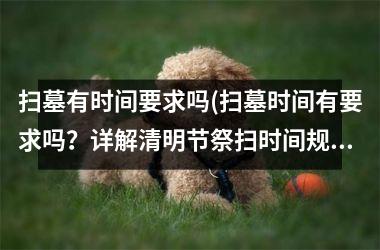 <h3>扫墓有时间要求吗(扫墓时间有要求吗？详解清明节祭扫时间规定)