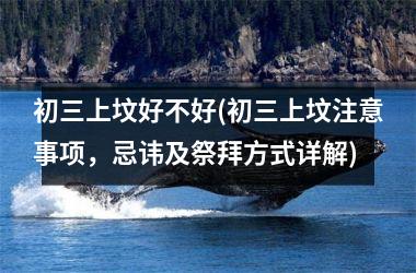 <h3>初三上坟好不好(初三上坟注意事项，忌讳及祭拜方式详解)