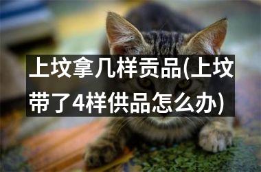 上坟拿几样贡品(上坟带了4样供品怎么办)