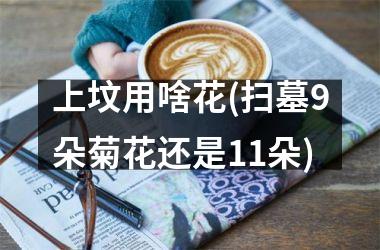 <h3>上坟用啥花(扫墓9朵菊花还是11朵)
