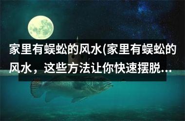 家里有蜈蚣的风水(家里有蜈蚣的风水，这些方法让你快速摆脱蜈蚣的烦恼！)
