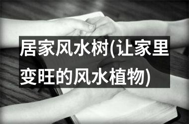 <h3>居家风水树(让家里变旺的风水植物)