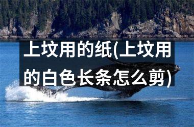<h3>上坟用的纸(上坟用的白色长条怎么剪)
