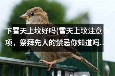 下雪天上坟好吗(雪天上坟注意事项，祭拜先人的禁忌你知道吗？)