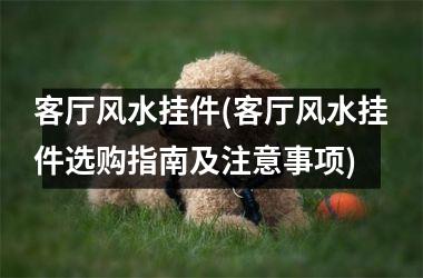 <h3>客厅风水挂件(客厅风水挂件选购指南及注意事项)