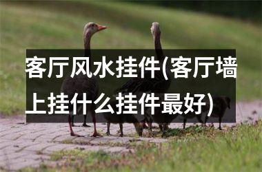 客厅风水挂件(客厅墙上挂什么挂件好)